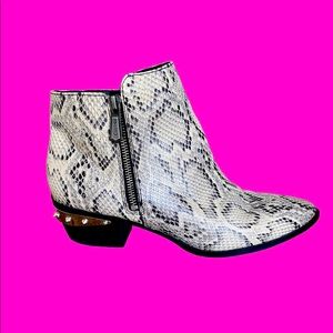 Circus by Sam Edelman Snake Print Booties size 11